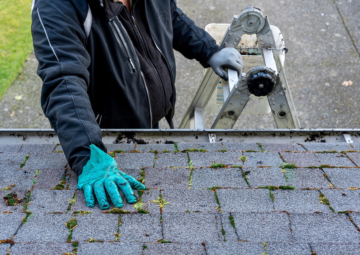 5 Signs Your Roof Needs Immediate Repair